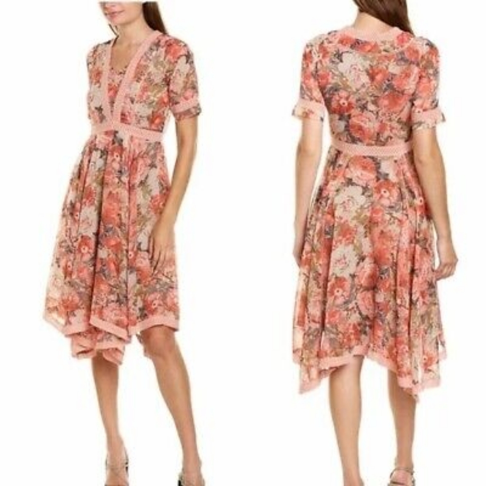 Anthropologie Ranna Gill Rose Bouquet Floral Chiffon dress 4P